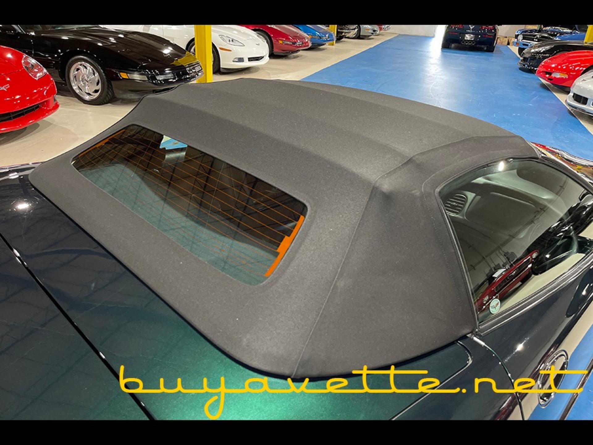 2001 Corvette 1SC Convertible picture #9