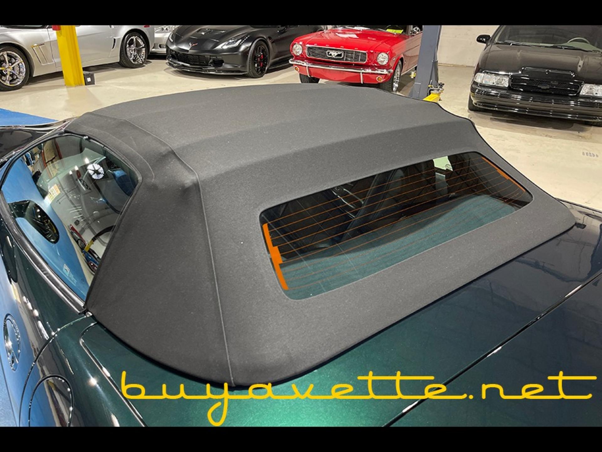 2001 Corvette 1SC Convertible picture #8