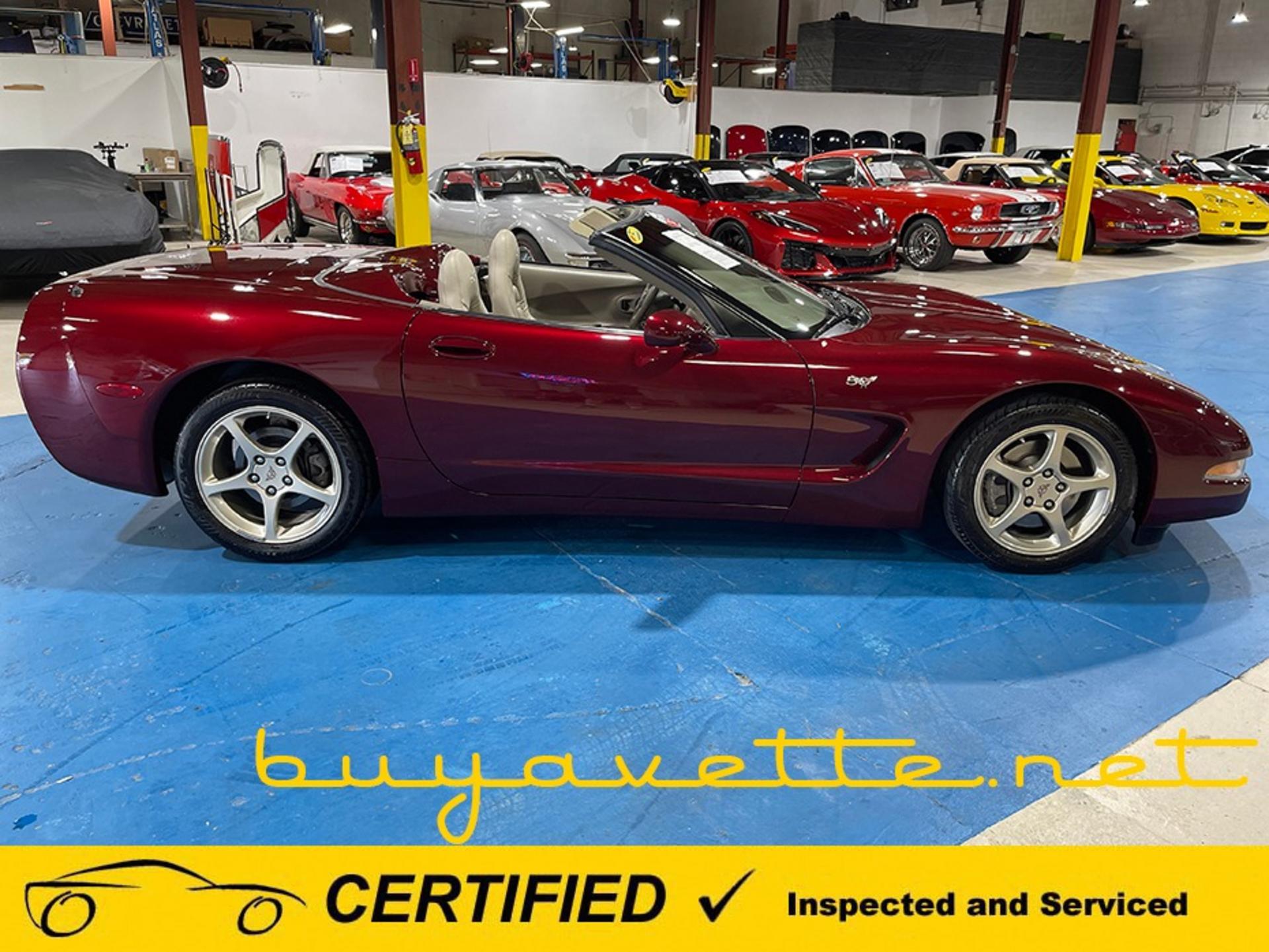 2003 Corvette 50th Anniversrary 1SC Convertible picture #7