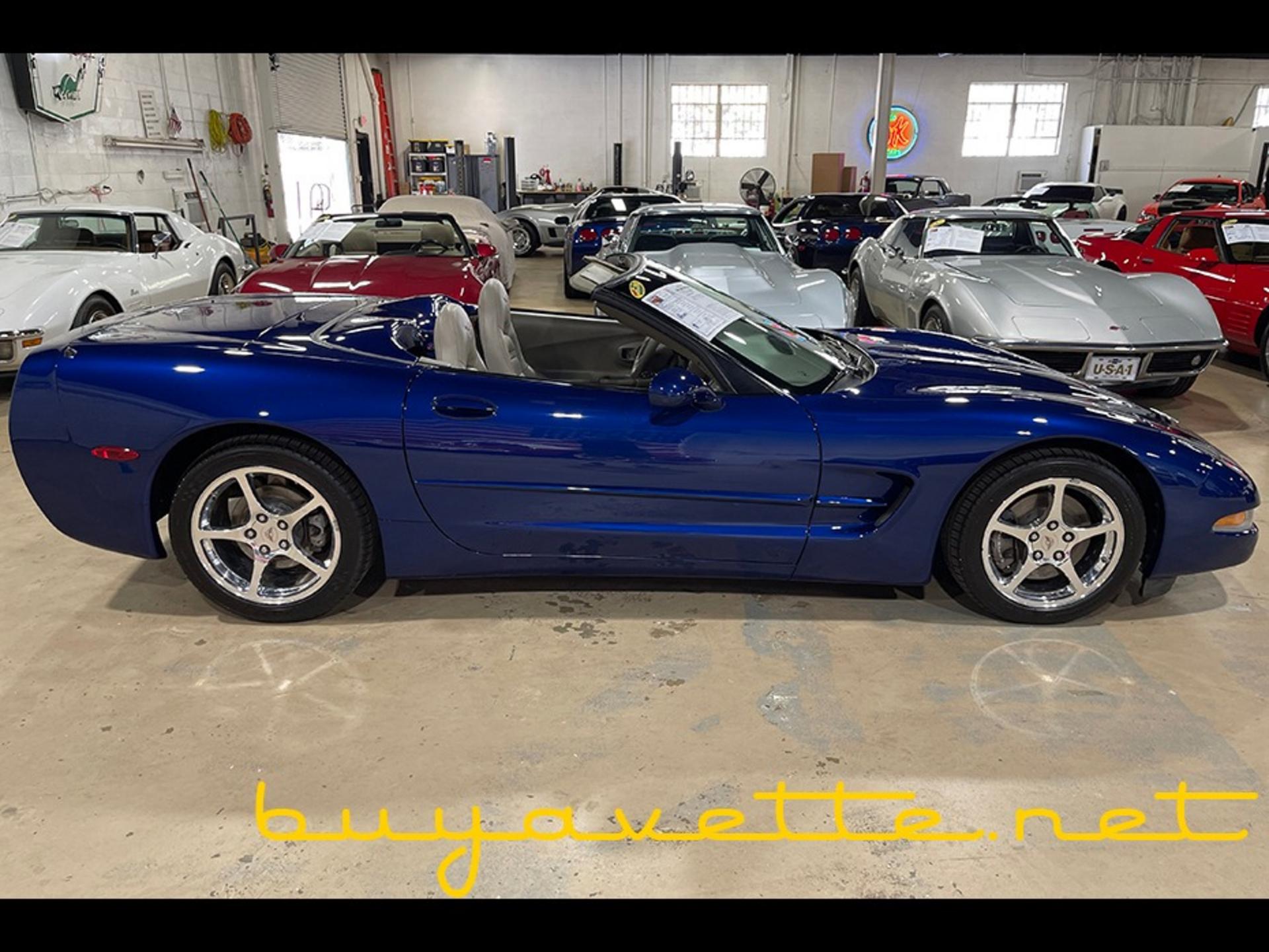 2004 Corvette Commemorative Edition 1SC Convertible picture #8