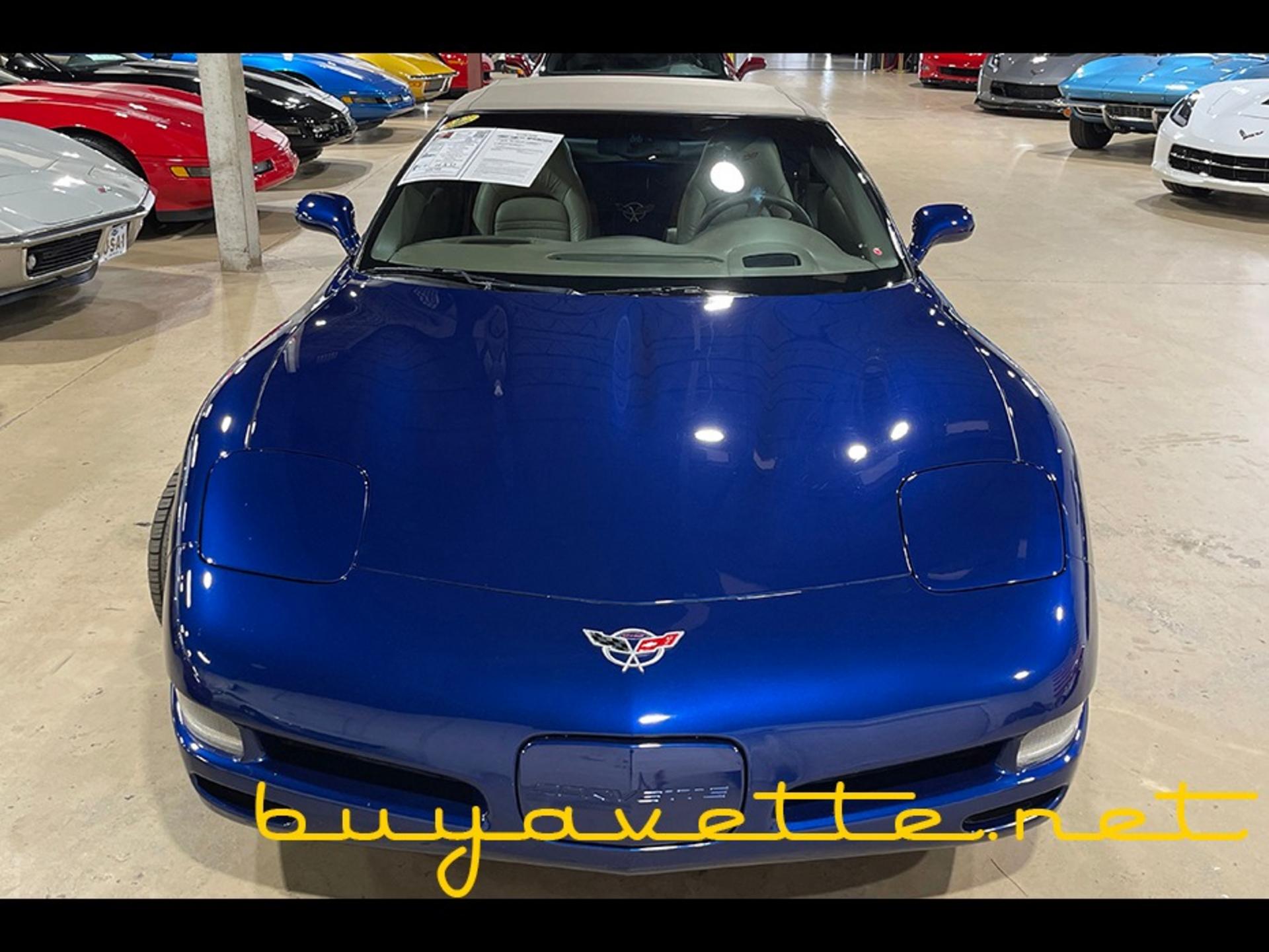 2004 Corvette Commemorative Edition 1SC Convertible picture #5