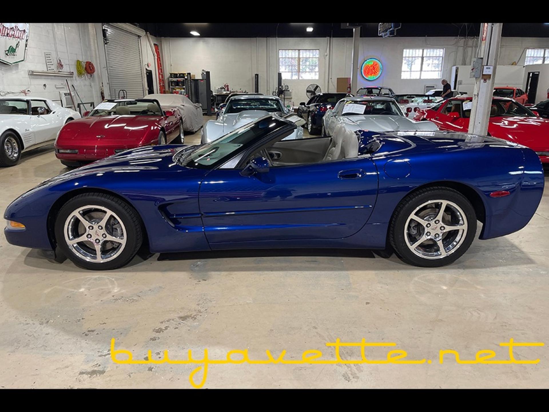 2004 Corvette Commemorative Edition 1SC Convertible picture #7