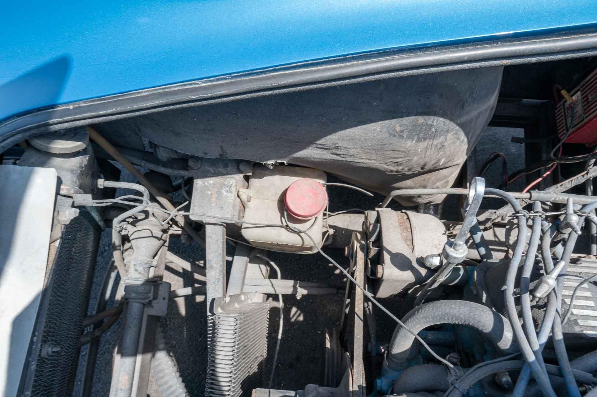 1965 Ford Cobra 49