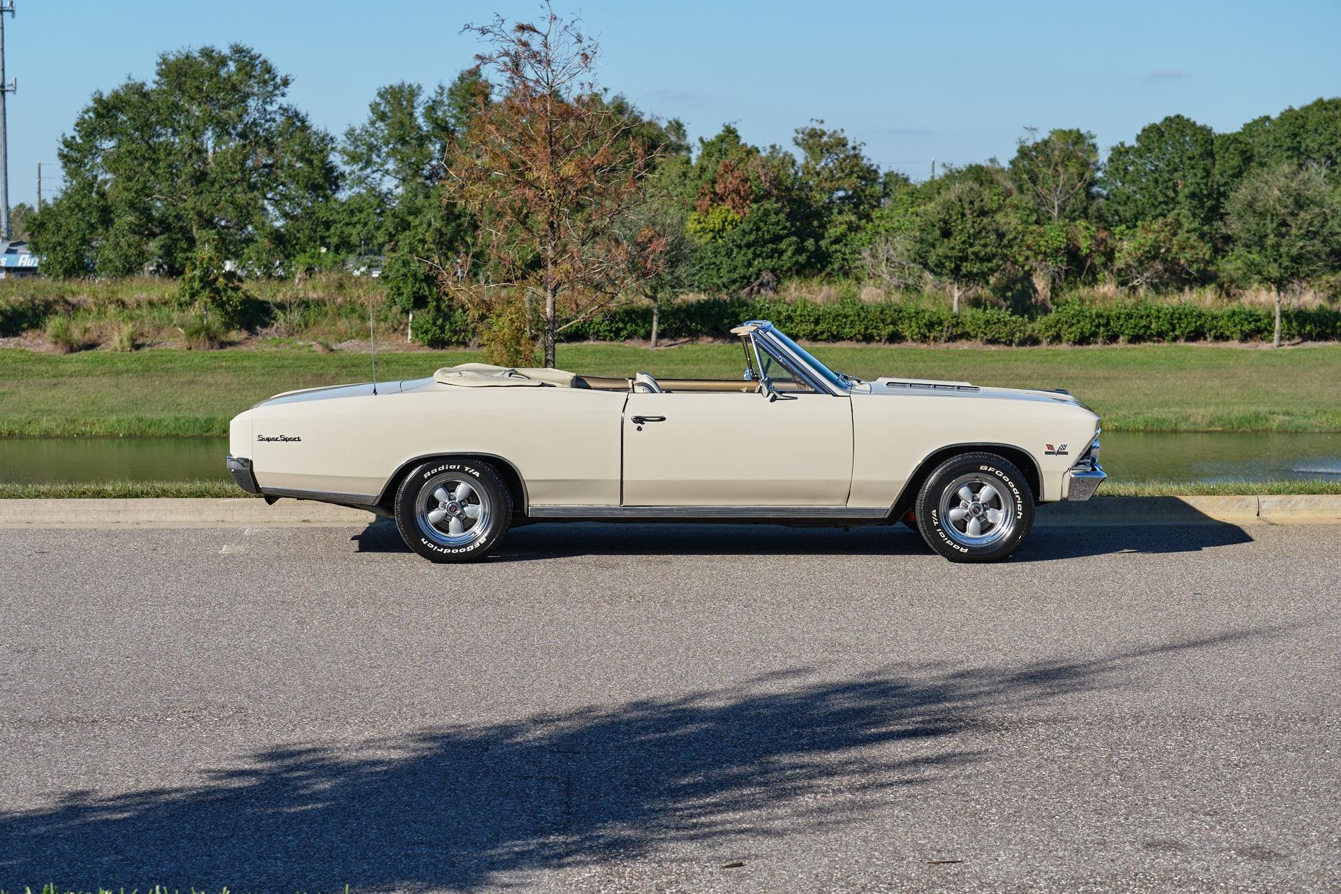 1966 Chevrolet Chevelle SS 6