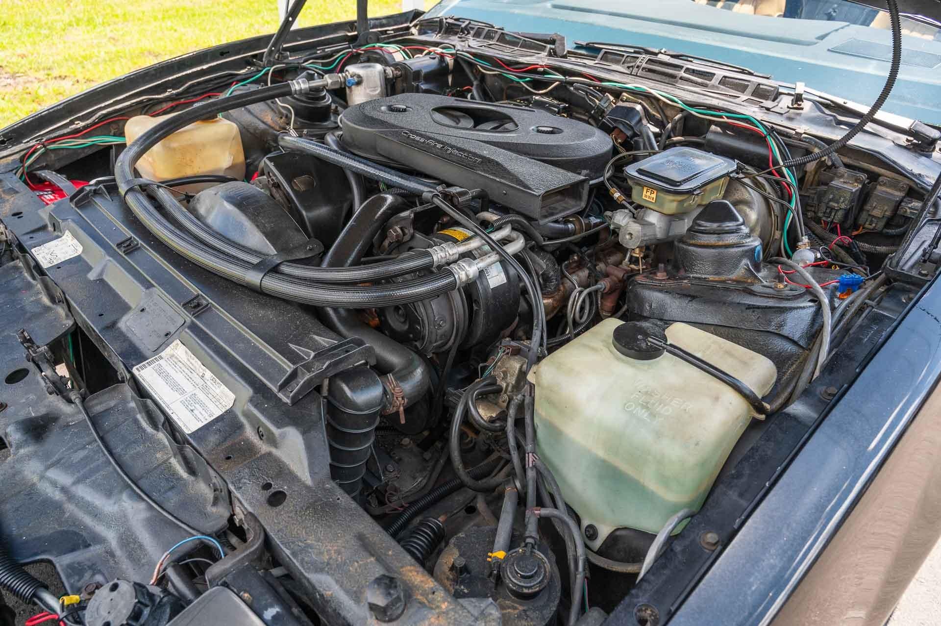 1983 Pontiac  Trans Am 69
