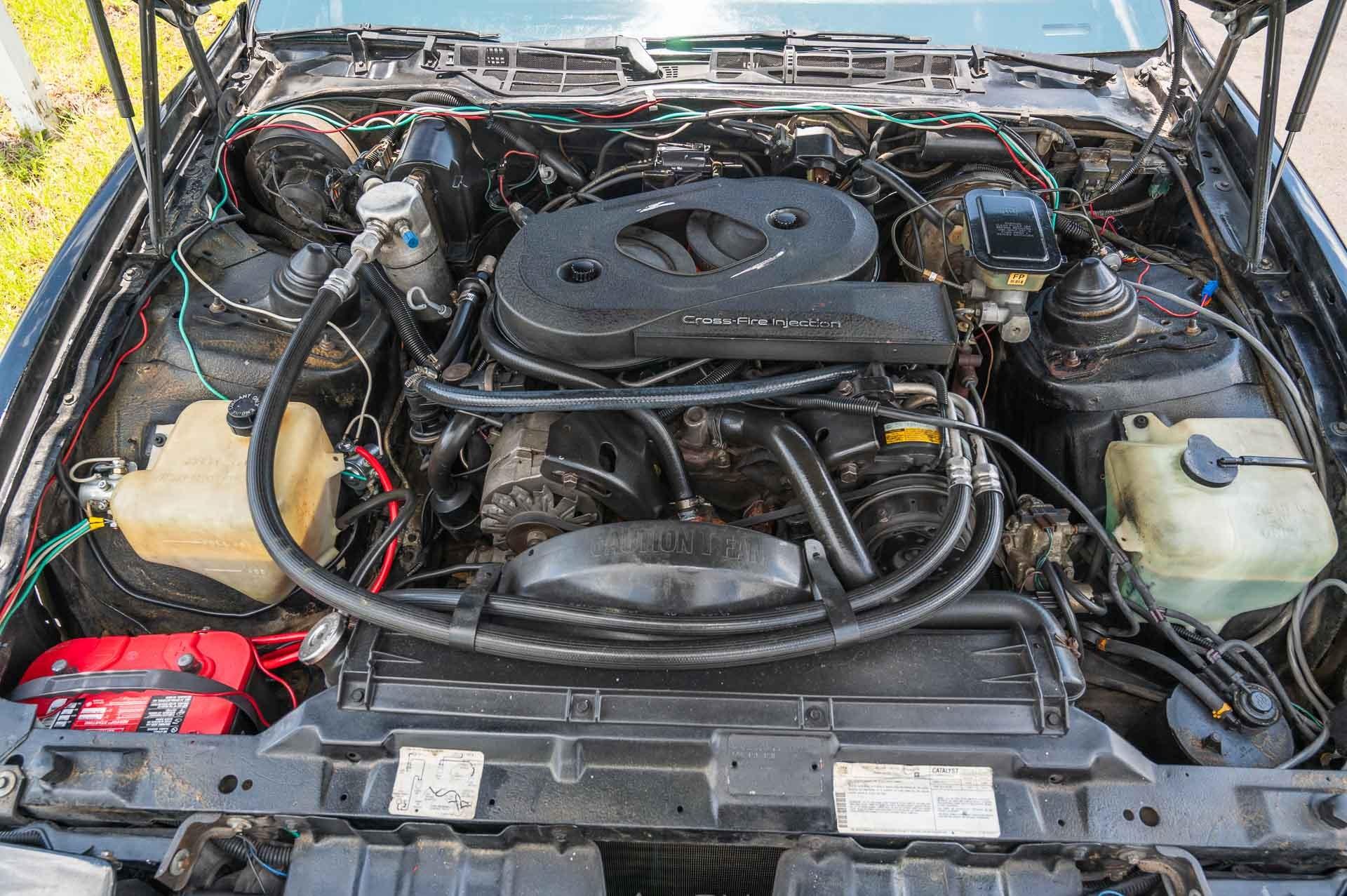 1983 Pontiac  Trans Am 13