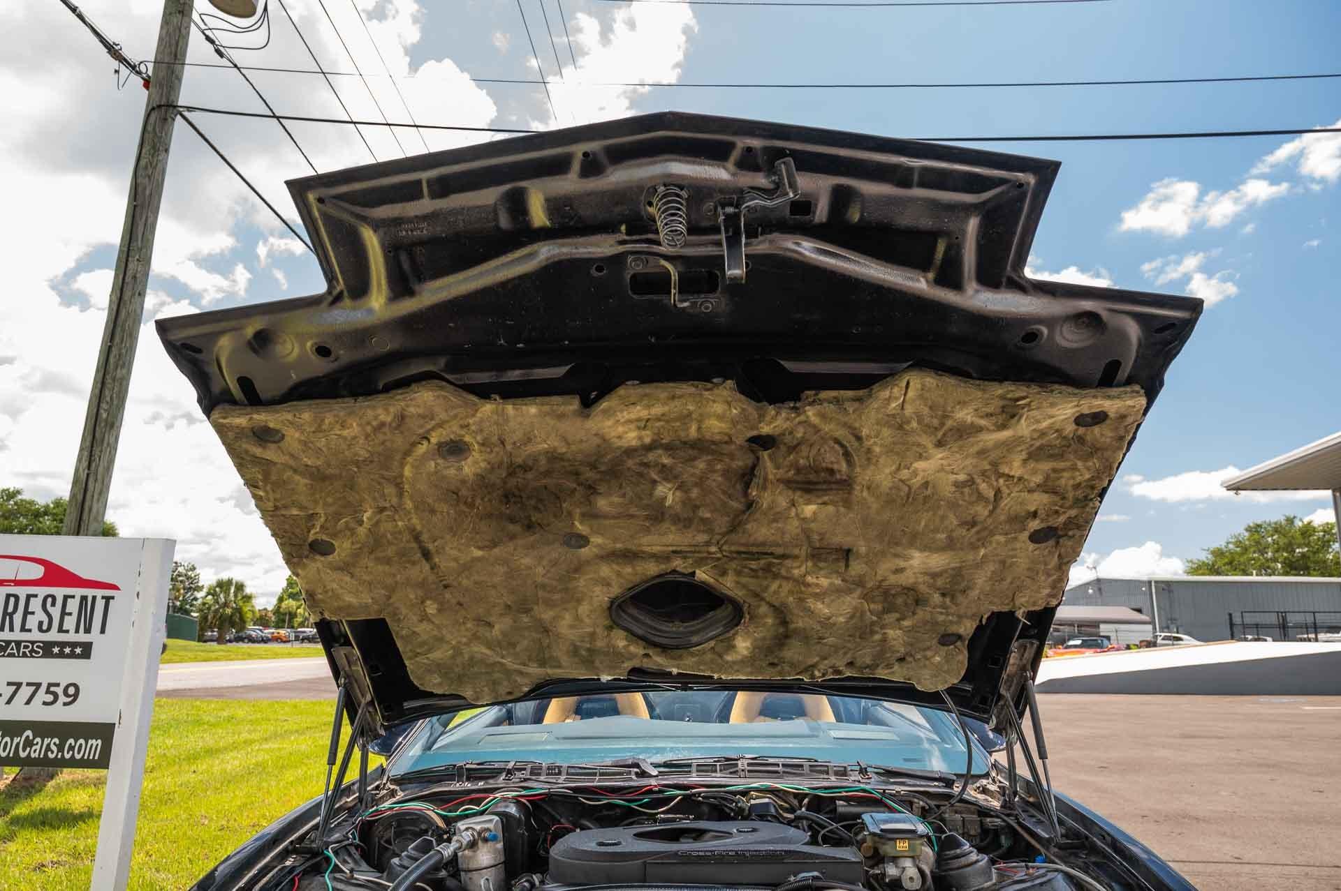 1983 Pontiac  Trans Am 77