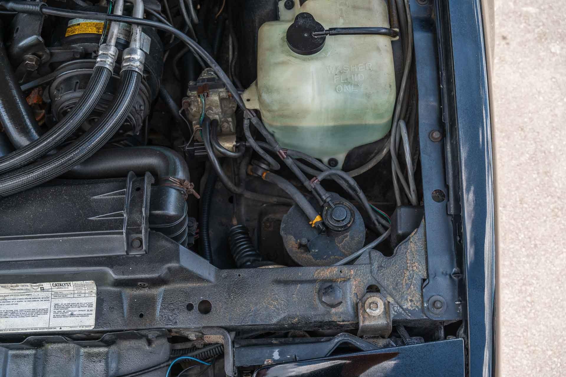 1983 Pontiac  Trans Am 74