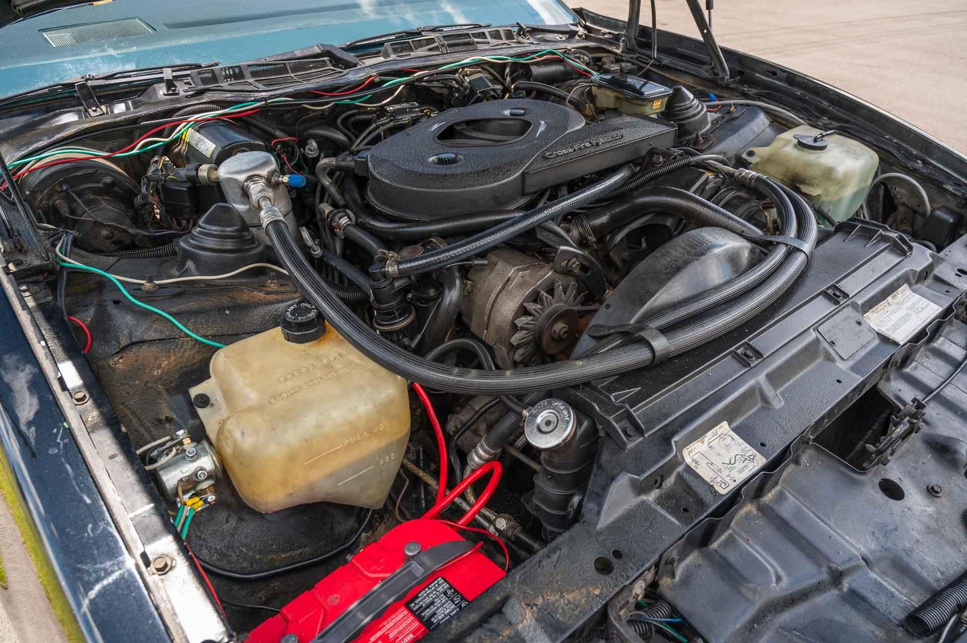 1983 Pontiac  Trans Am 12