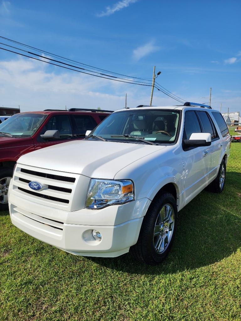The 2010 Ford Expedition Limited photos