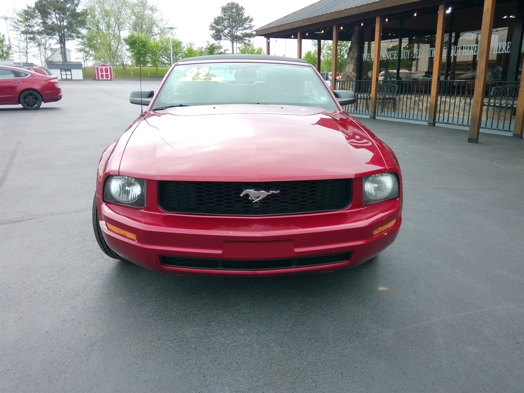 2009 Ford Mustang V6 Deluxe photo