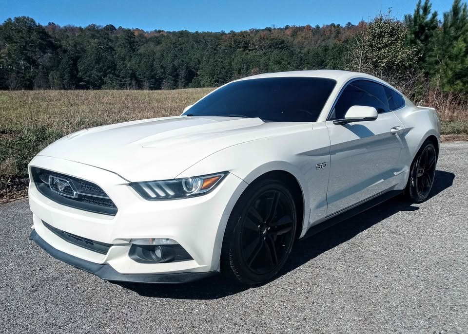 2015 Ford Mustang GT 50yr LTD ED. photo