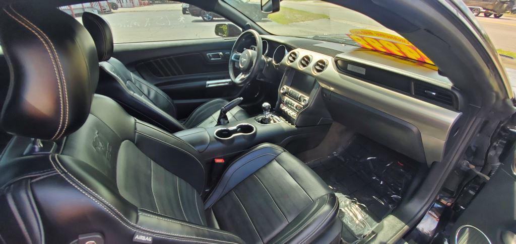 2015 Ford Mustang  Gt  2d Cou  photo