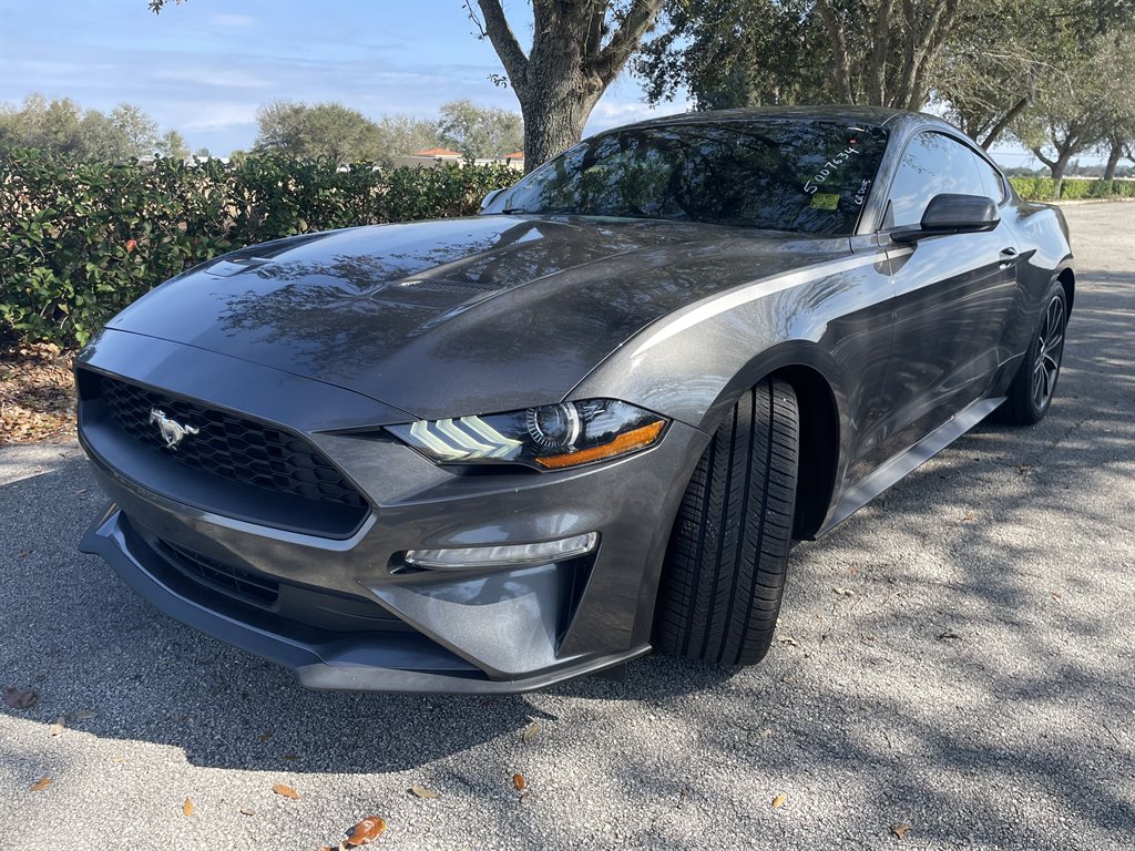 2019 Ford Mustang