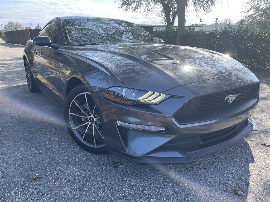 2019 Ford Mustang