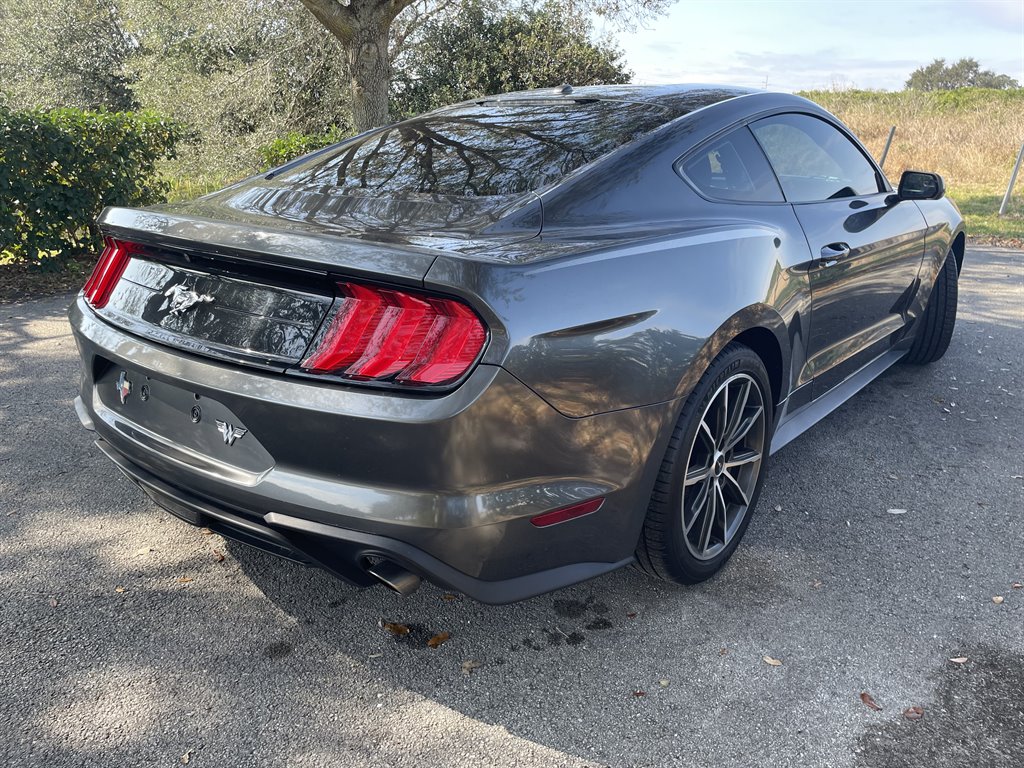 2019 Ford Mustang