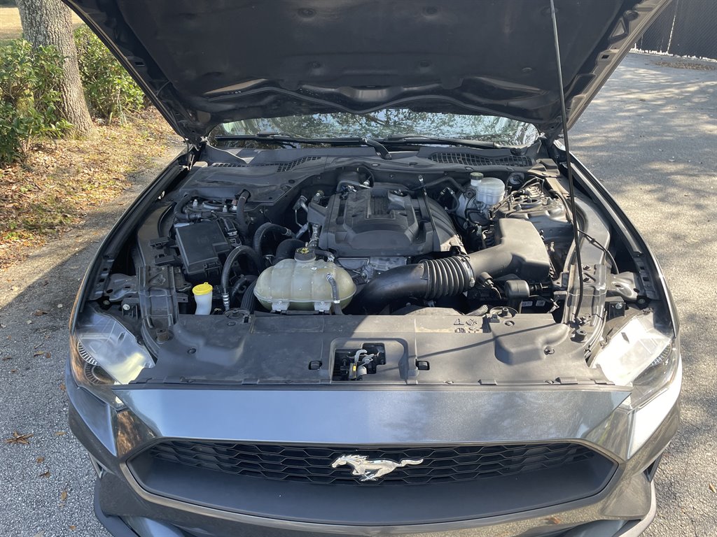 2019 Ford Mustang