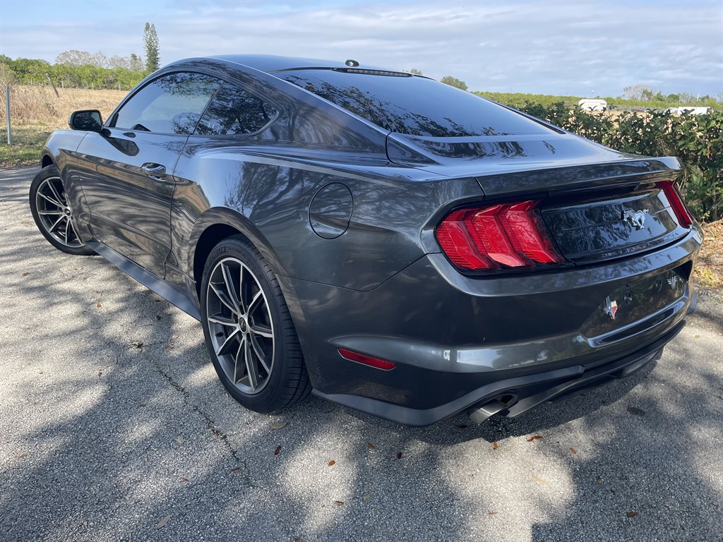 2019 Ford Mustang