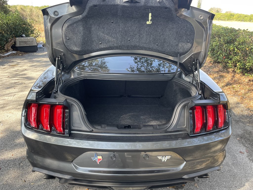 2019 Ford Mustang