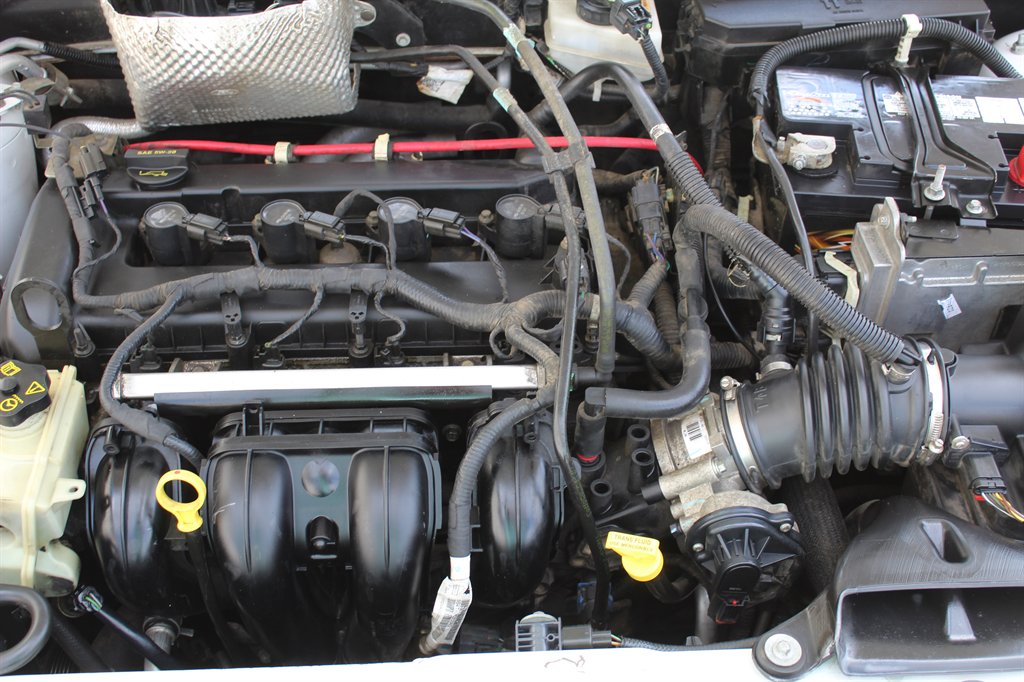 2008 Ford Focus SE photo