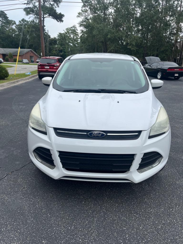 2014 Ford Escape SE photo