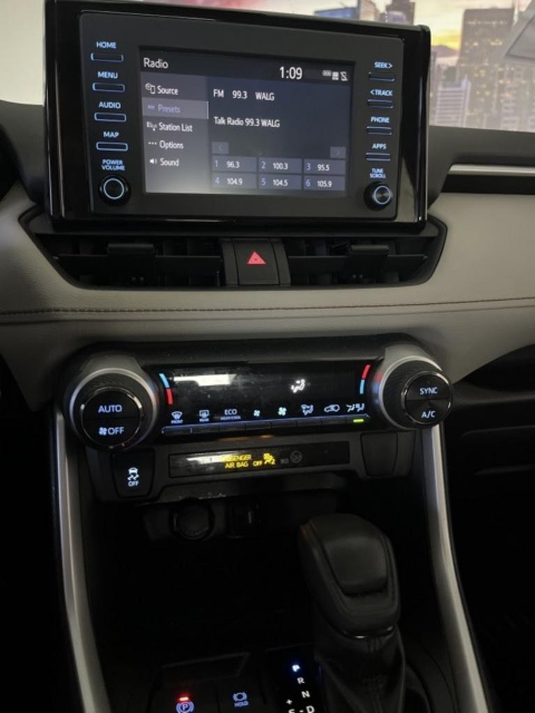 2019 Toyota RAV4 XLE photo