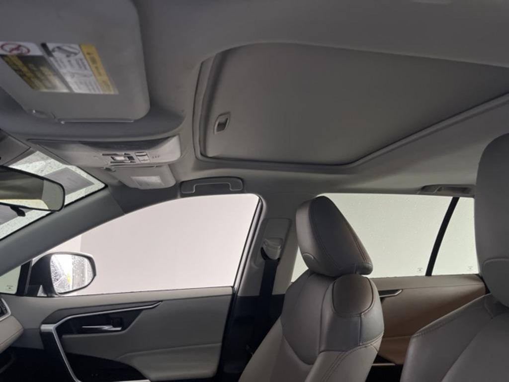 2019 Toyota RAV4 XLE photo