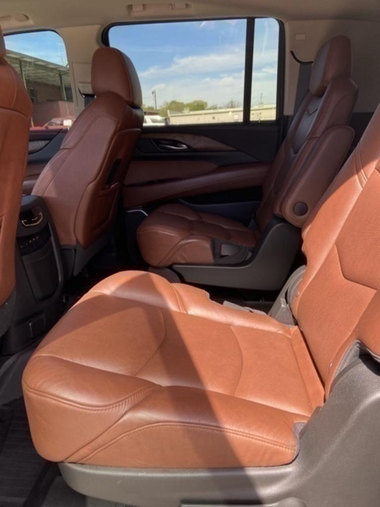 2019 Cadillac Escalade ESV Premium Luxury photo