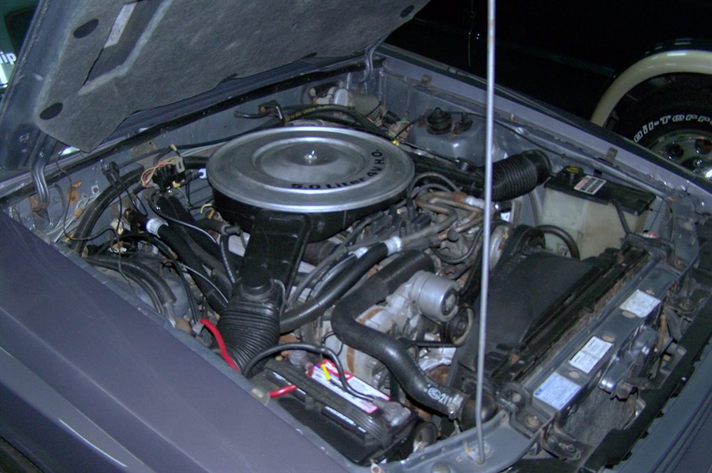 1985 Mercury Capri - $26,890