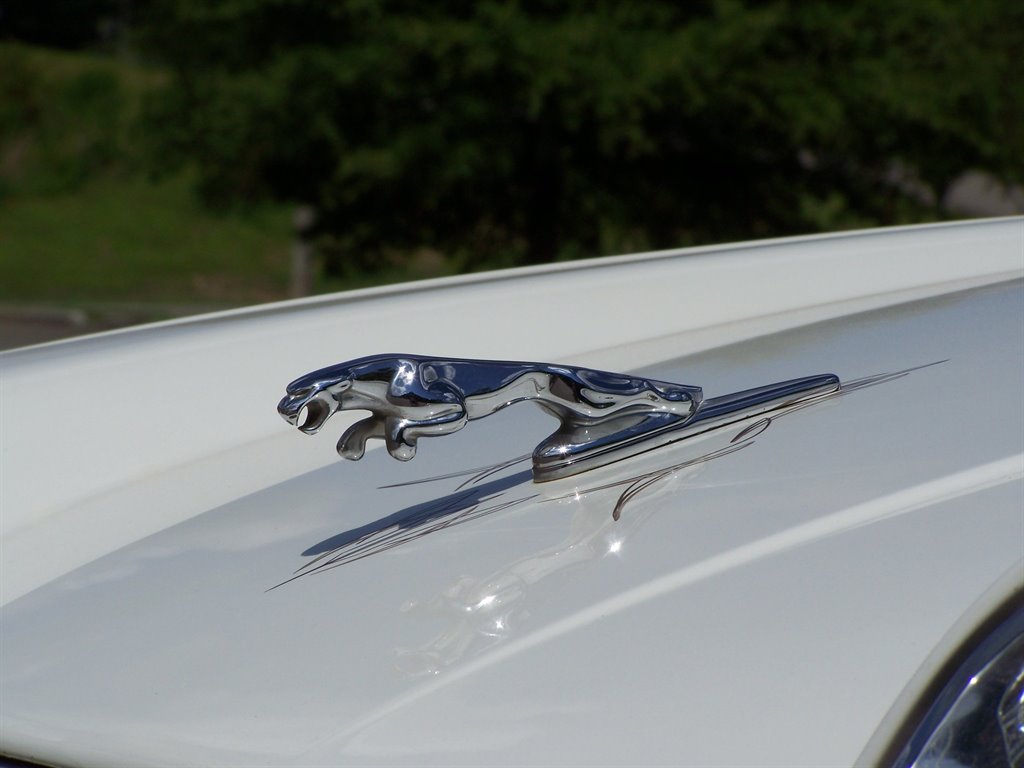 1989 Jaguar XJ-Series XJS photo