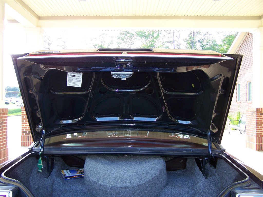 1981 Ford Mustang - $17,890