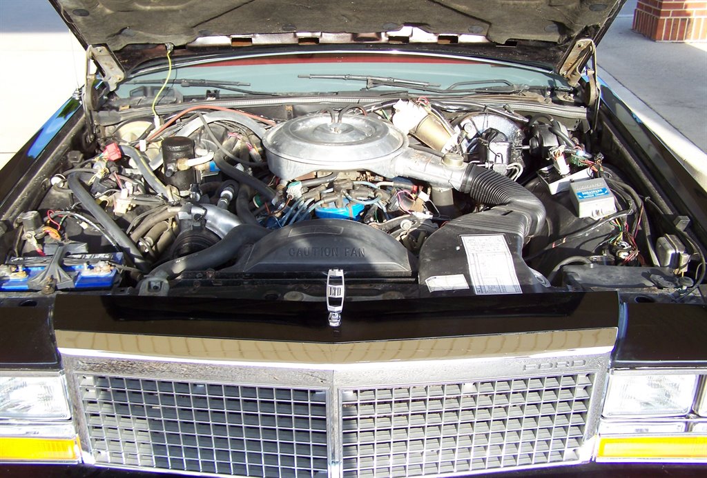 1981 Ford Mustang - $17,890