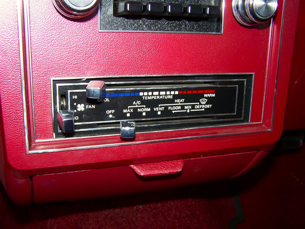 1981 Ford Mustang - $17,890