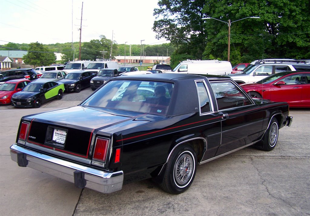 1981 Ford Mustang - $17,890