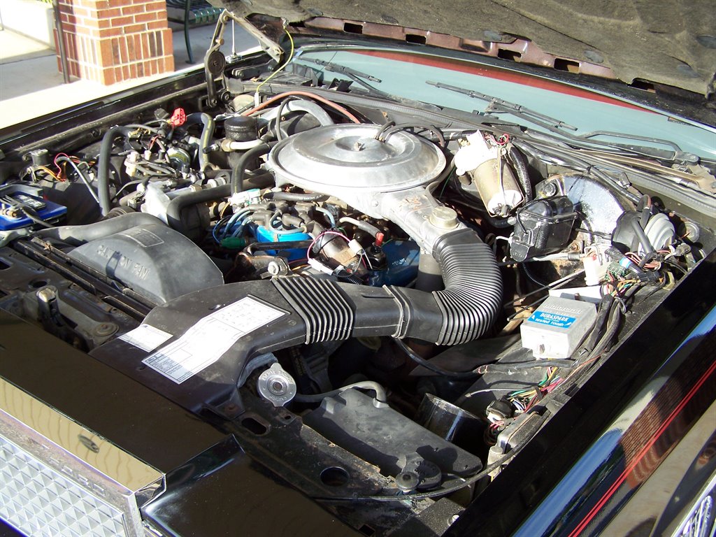 1981 Ford Mustang - $17,890