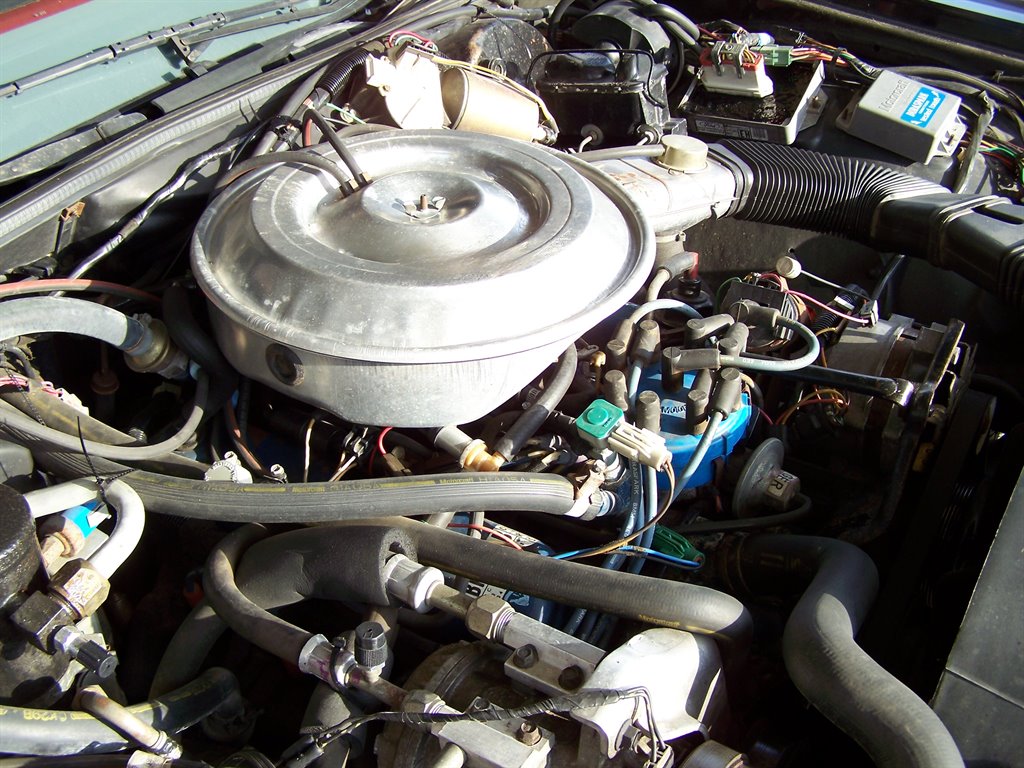 1981 Ford Mustang - $17,890