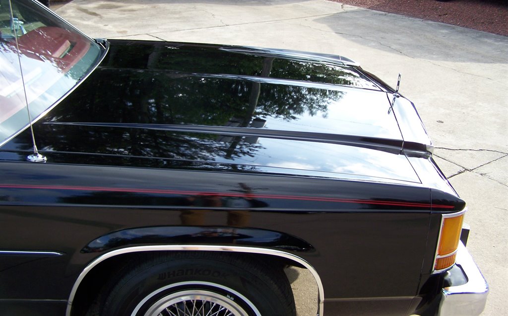1981 Ford Mustang - $17,890