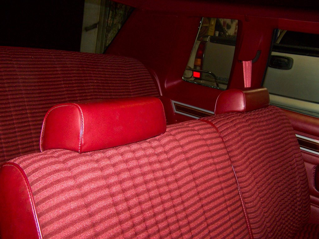 1981 Ford Mustang - $17,890
