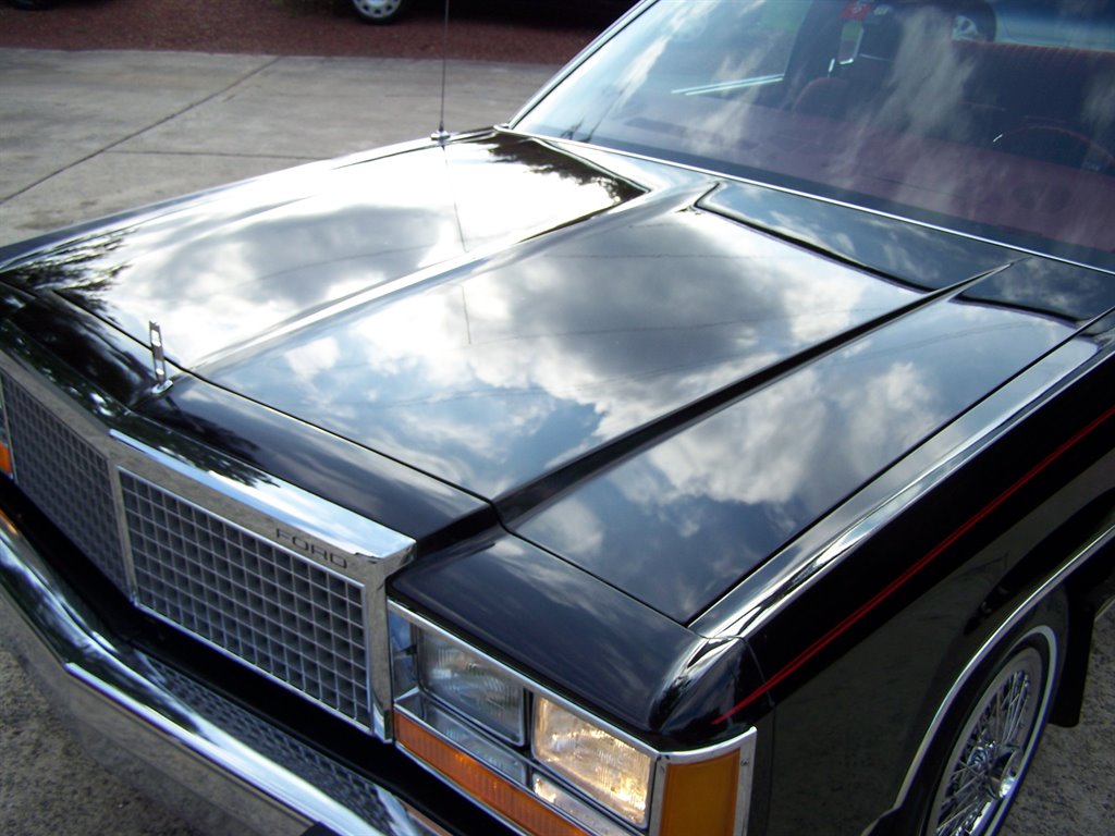 1981 Ford Mustang - $17,890
