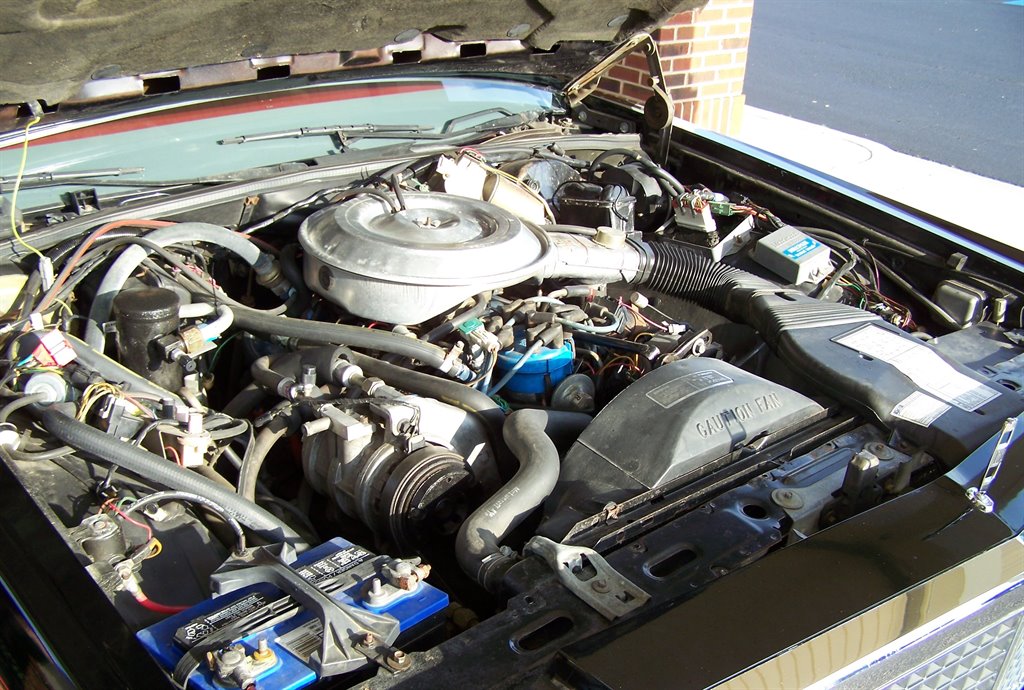 1981 Ford Mustang - $17,890