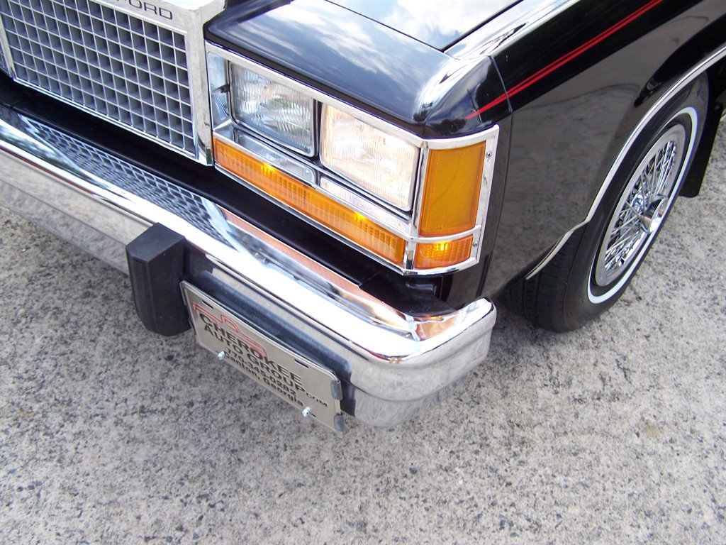 1981 Ford Mustang - $17,890