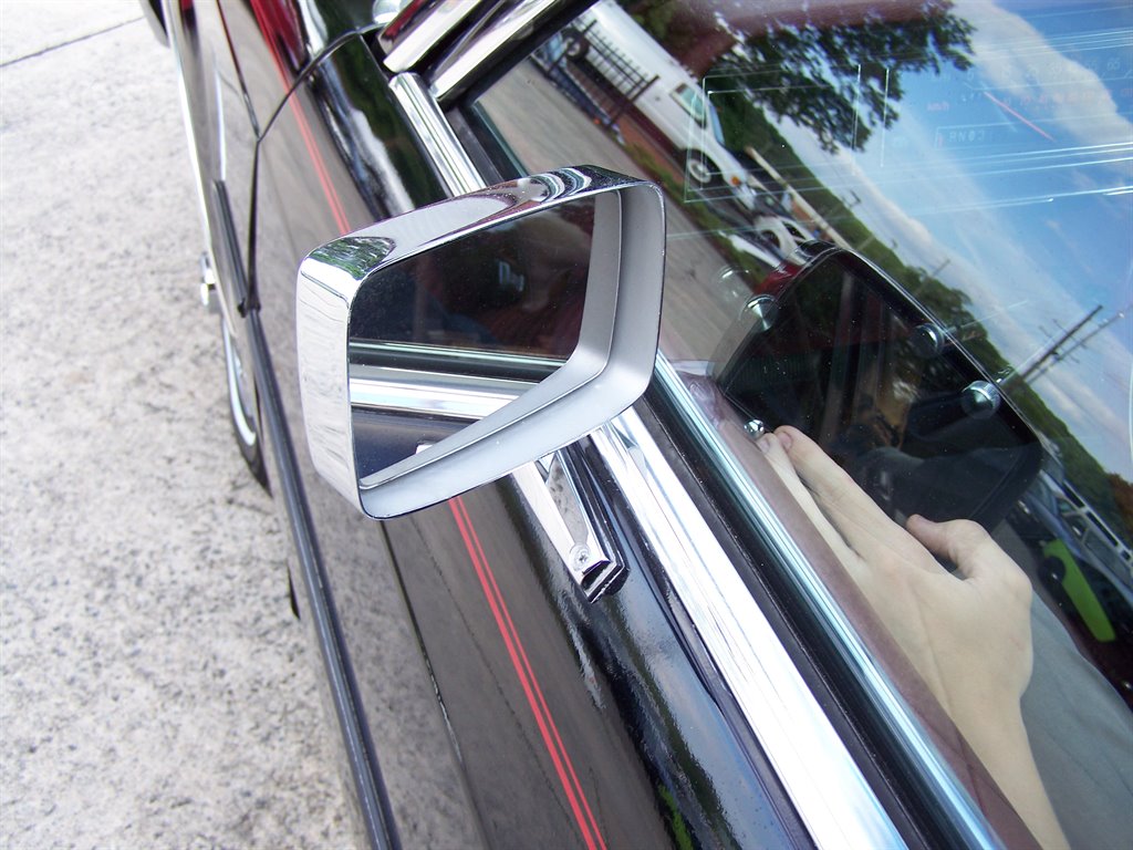 1981 Ford Mustang - $17,890