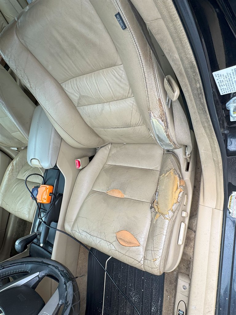 2008 Honda Accord EX-L photo