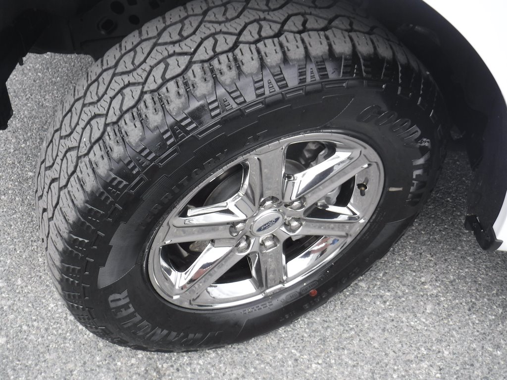 2024 Ford F150 XLT Hyrbid 4x4 photo