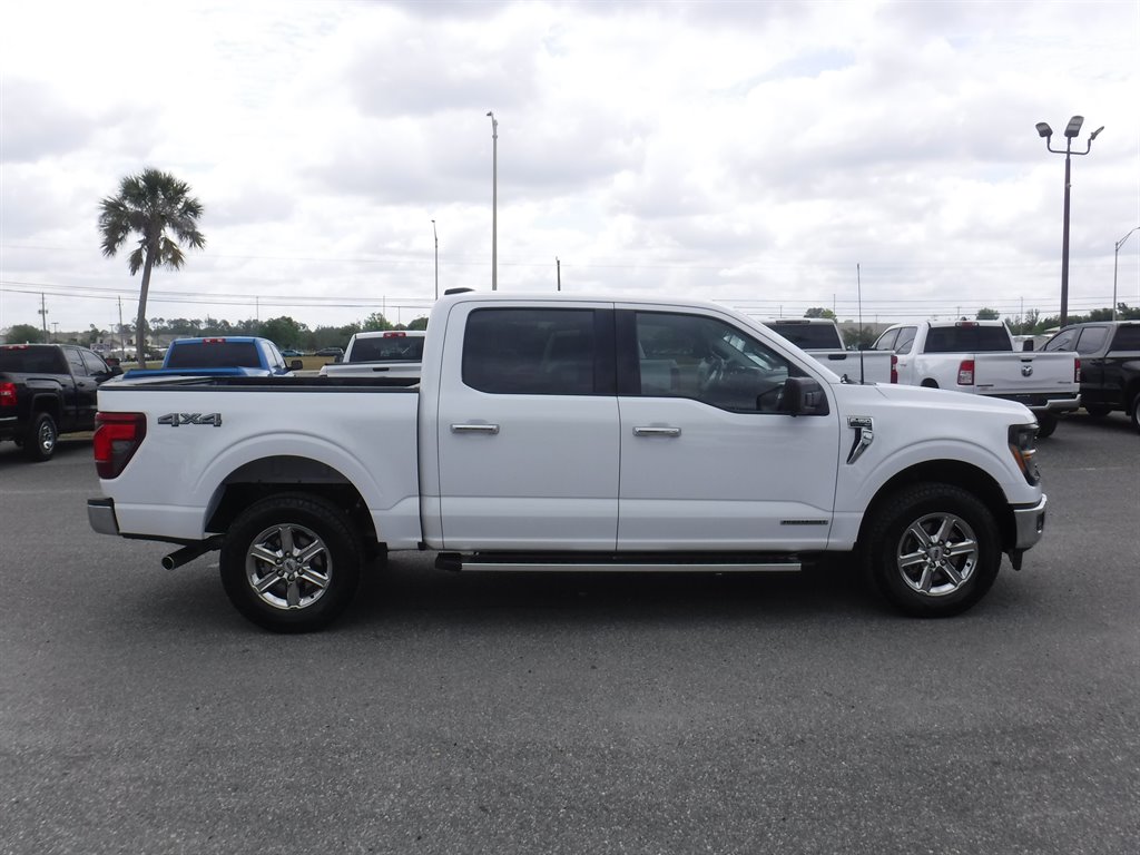 2024 Ford F150 XLT Hyrbid 4x4 photo