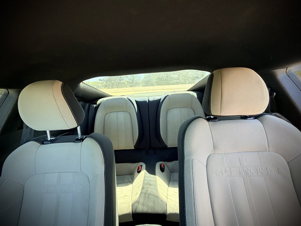 2019 Ford Mustang - $14,950