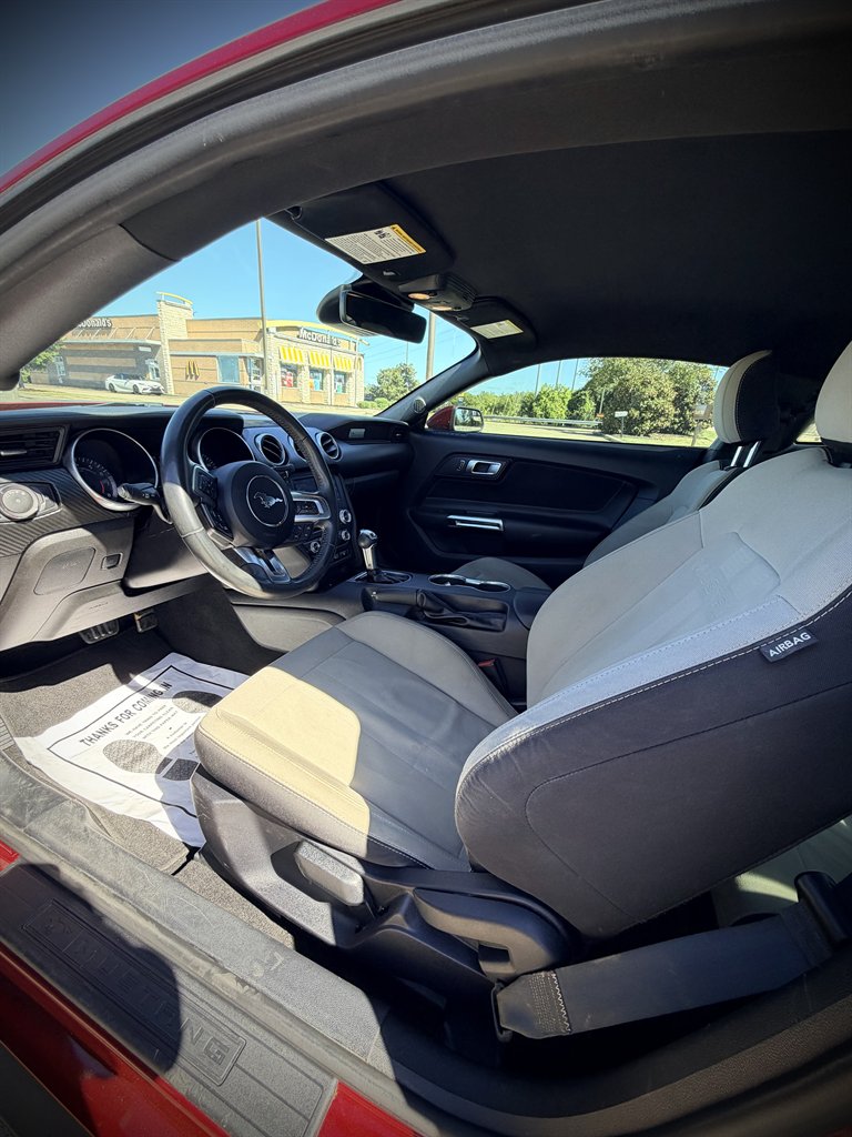 2019 Ford Mustang - $14,950