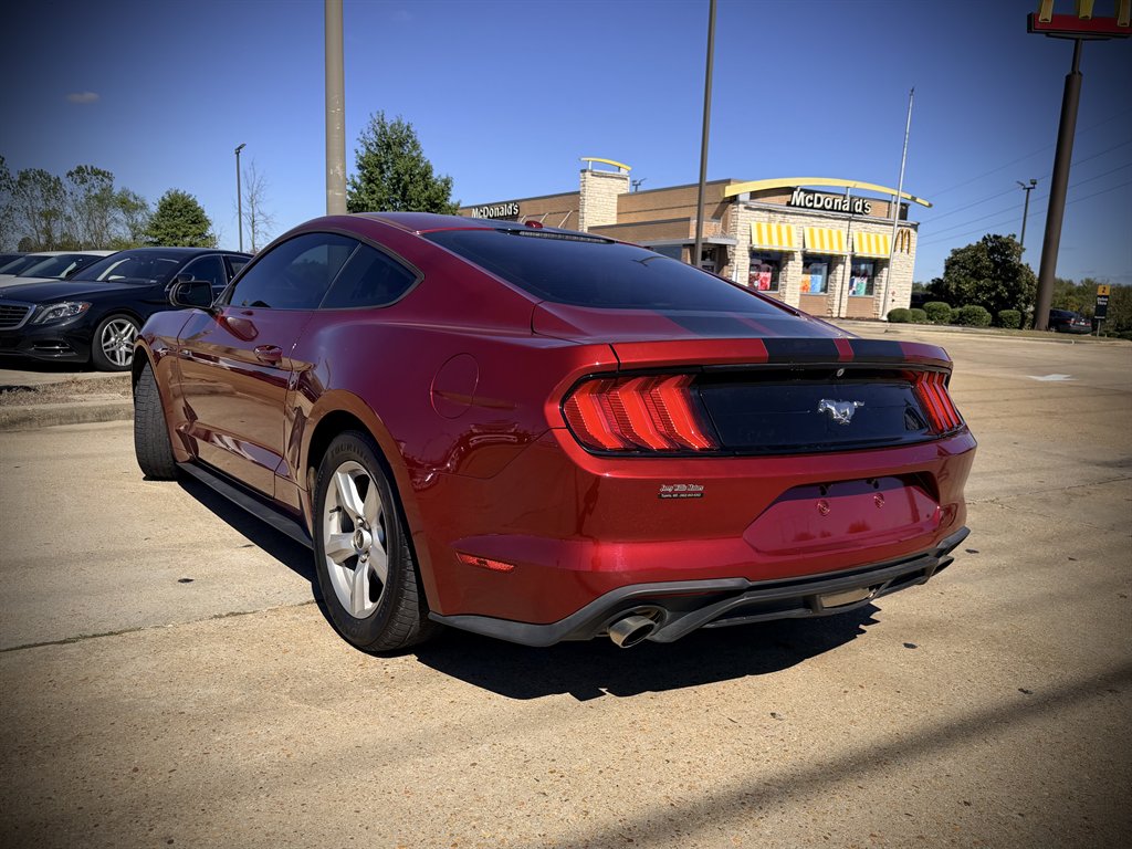 2019 Ford Mustang - $14,950