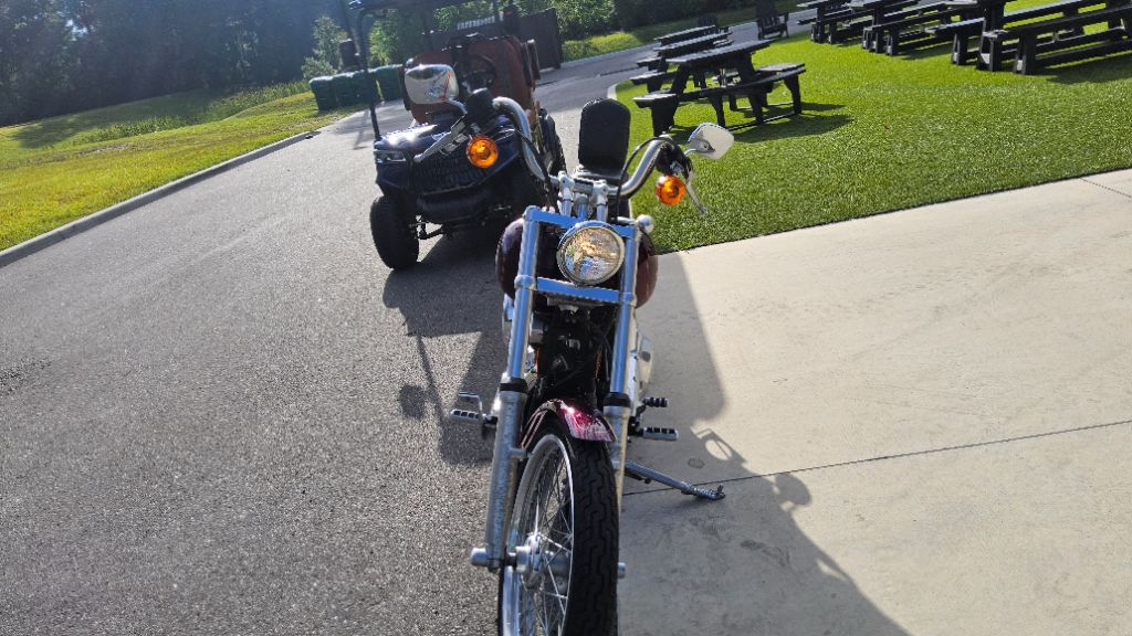 1997 Harley-davidson Softail Custom - $6,995