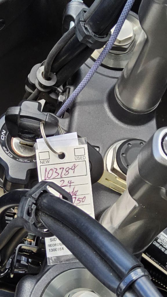 2024 Honda Transalp - $7,500